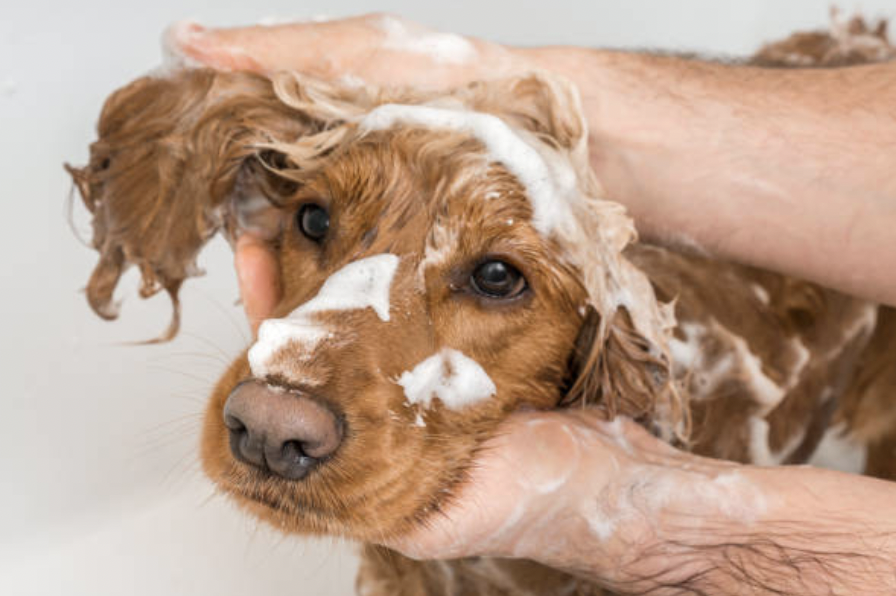 Washing